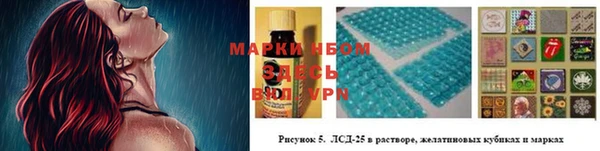 spice Алзамай