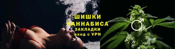 spice Алзамай