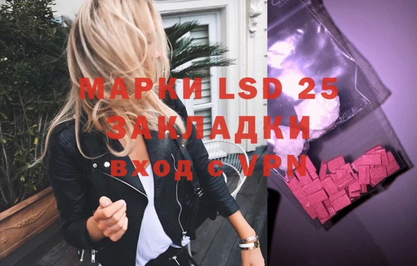 spice Алзамай