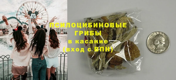 герыч Алексин