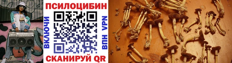 Галлюциногенные грибы мухоморы  Георгиевск 