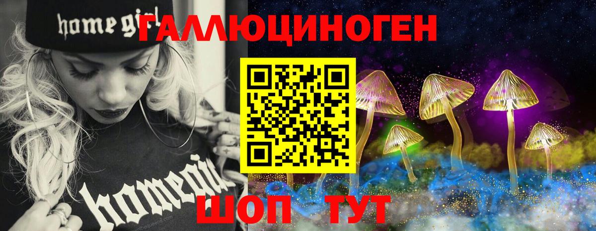 Галлюциногенные грибы GOLDEN TEACHER  Вход с VPN  Галлюциногенные грибы Magic Shrooms  Георгиевск 